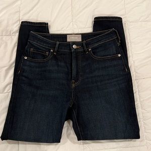 Everlane Curvy High-Rise Crop Skinny Jean
